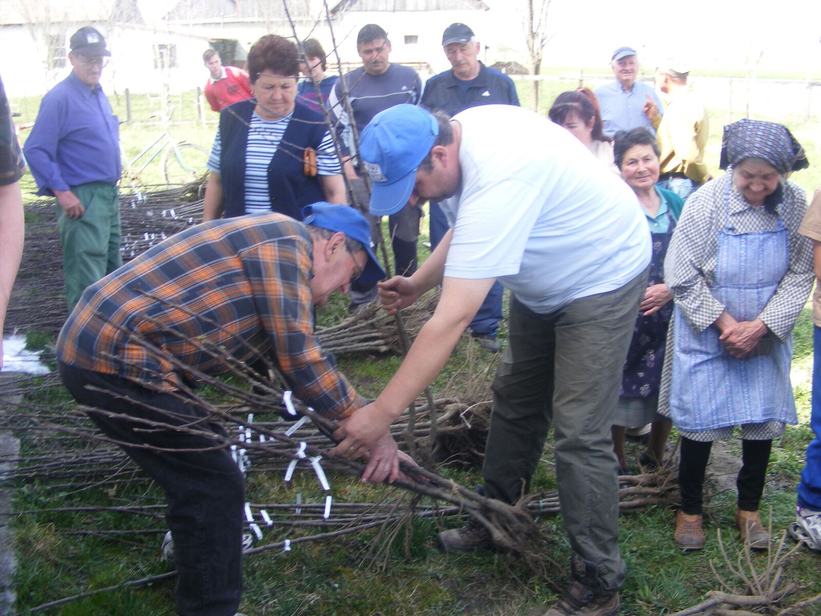  The Covasna Community Foundation in Romania is continuing its environmental work with a Burning Issues grant.