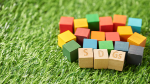 coloured wooden blocks spelling S D Gs