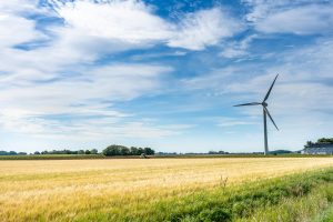 wind turbine in big field, sunny day