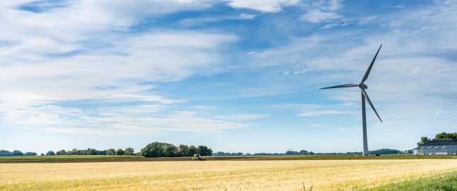 wind turbine in big field, sunny day